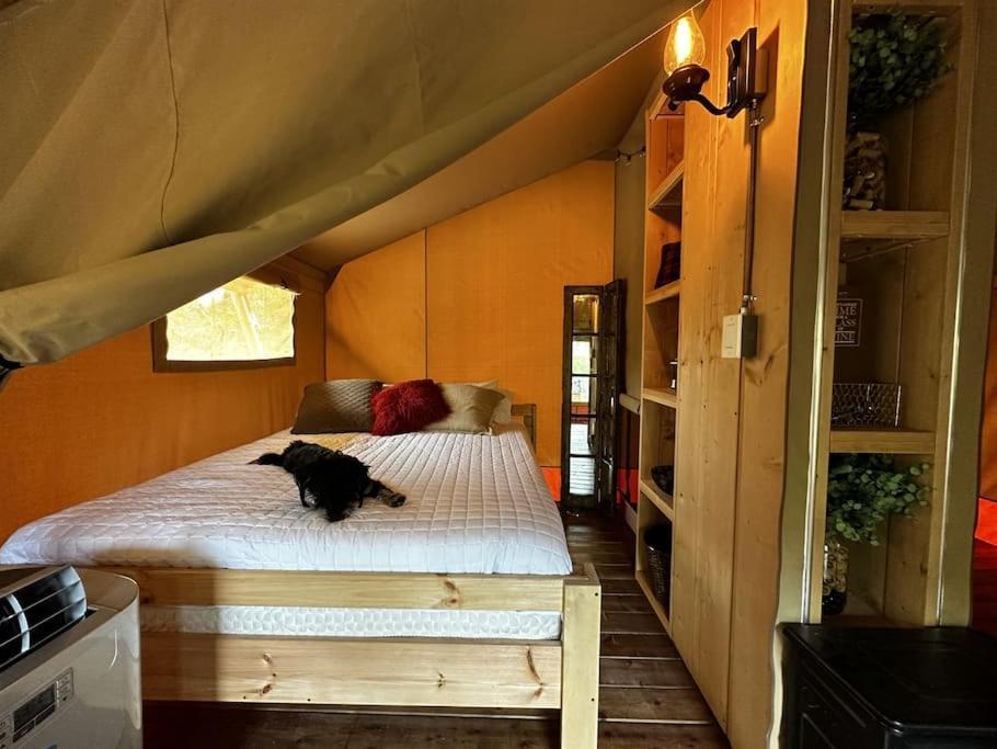 12 Fires Luxury Glamping With Heating #5 Hotel Johnson City Exterior photo